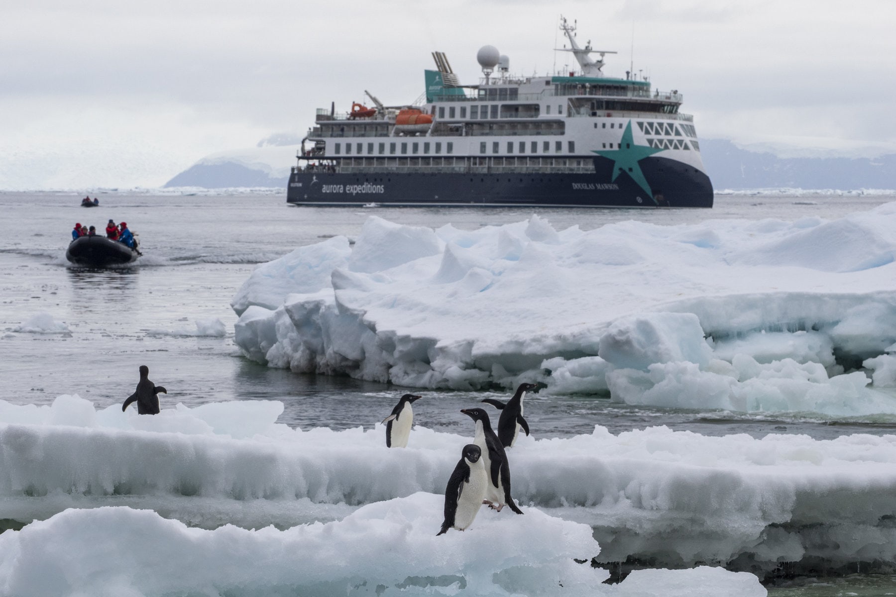 Douglas-Mawson-Cape-Adare-Scott-Portelli