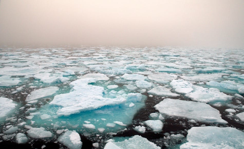 Die Grönlandsee ist eine 1.2 Mio. Quadratkilometer grosse Wasserfläche, die ozeanographisch sehr wichtig ist. Hier bilden sich die Tiefenwasser, die bis in die Antarktis strömen. Dadurch werden die globalen Strömungssysteme überhaupt angetrieben. Bild: Michael Wenger