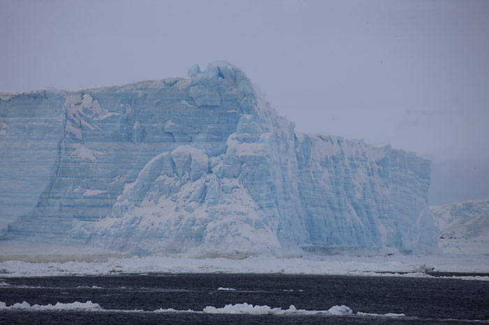 PolarNEWS_Kaiserpinguine_Snowhill_003