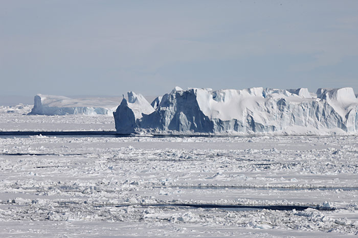 PolarNEWS_Kaiserpinguine_Snowhill_008