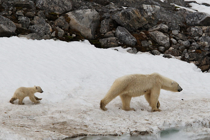 013_spitzbergen_2010