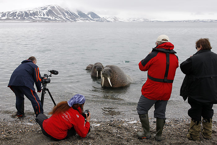 043_spitzbergen_2010