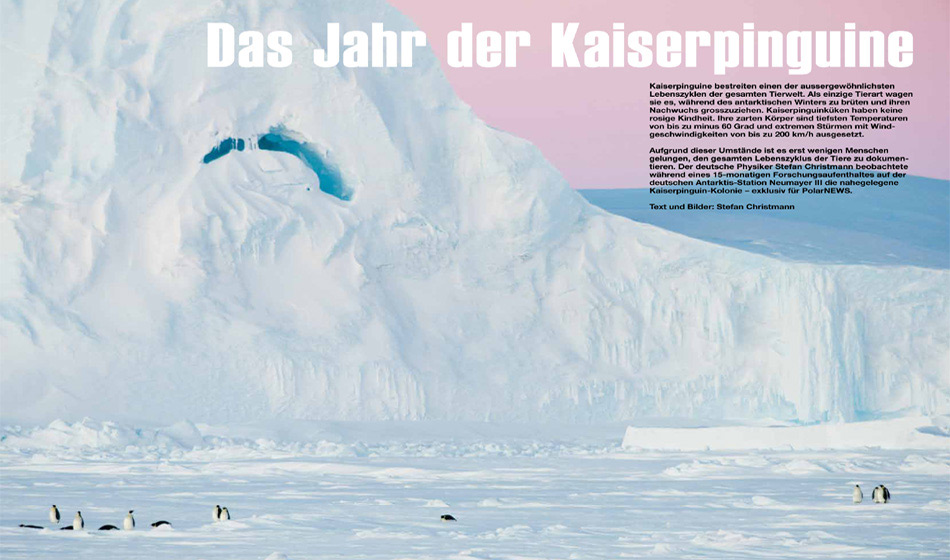 Das Jahr der Kaiserpinguine