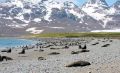 Südgeorgien liegt mitten im Südatlantik, bzw. Südpolarmeer. Durch seine abgelegene Lage konnten